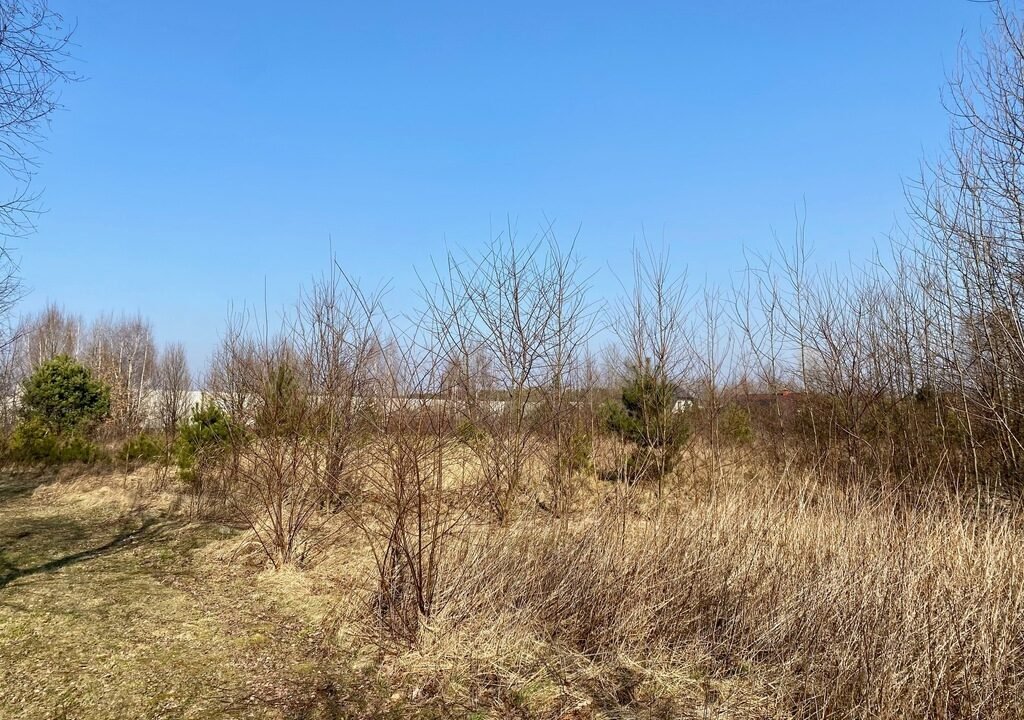 WhatsApp Image 2023-04-25 at 23.41.17